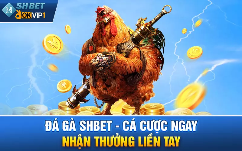 Làm thế nào để chơi game đá gà shbet online?