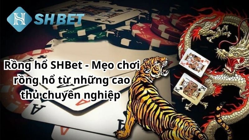 Thuật ngữ trong game rồng hổ Shbet