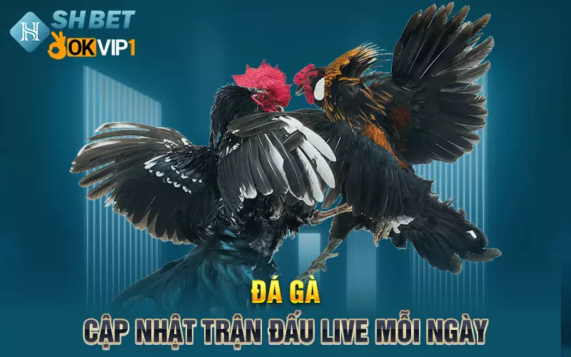 Vì sao game đá gà shbet online được ưa chuộng?