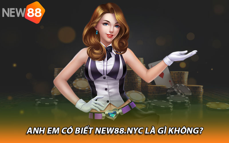 Anh em có biết New88.nyc là gì không? 